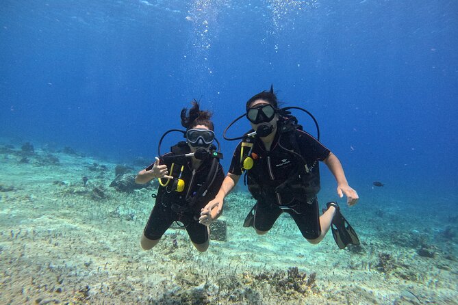 Try diving without previous experience from shore - A calm first step into Cozumel scuba