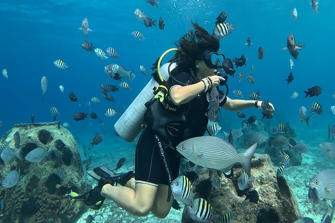 Try diving without previous experience from shore - What the first 30 minutes are meant to teach you
