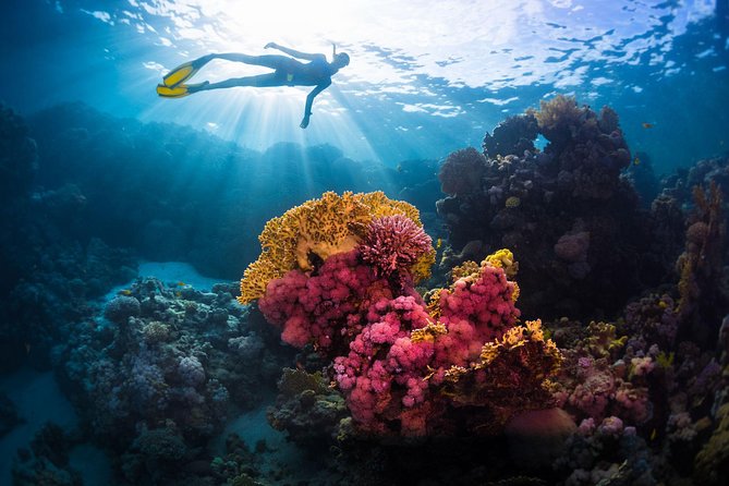 Try Freediving on Nusa Penida - What this Nusa Penida breath-hold lesson really teaches