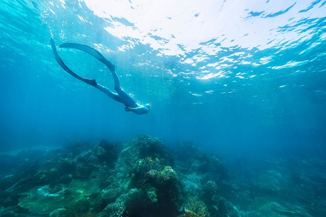 Try Freediving on Nusa Penida - Is $150 a fair price?