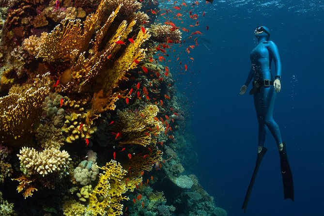Try Freediving on Nusa Penida - Getting to the school and planning your morning