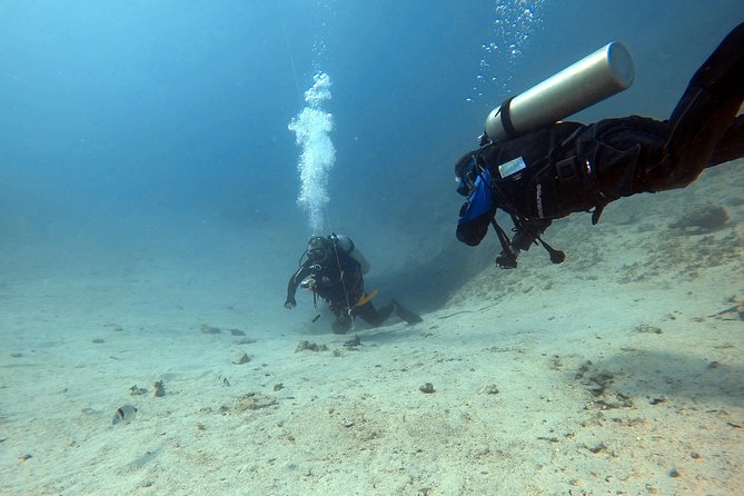 Try scuba dive - Key points to know before booking