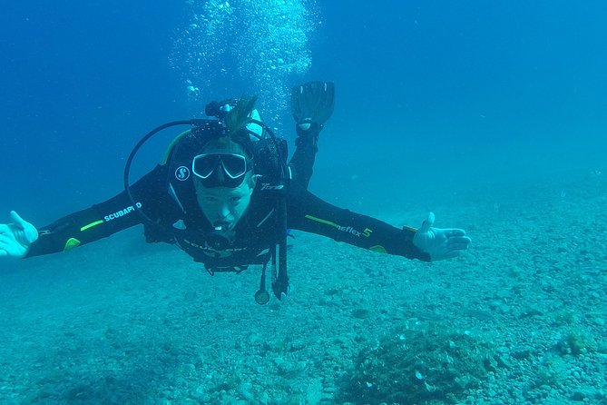 Try scuba dive - Timing, weather, and cancellation advice