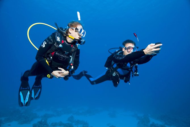 Try Scuba Dive (baptism of the sea) - A private session that keeps the pace personal