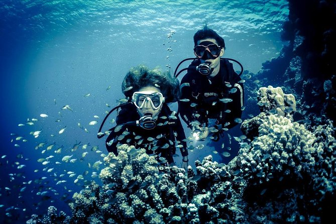 Try Scuba Dive (baptism of the sea) - Is $104.11 a fair price?