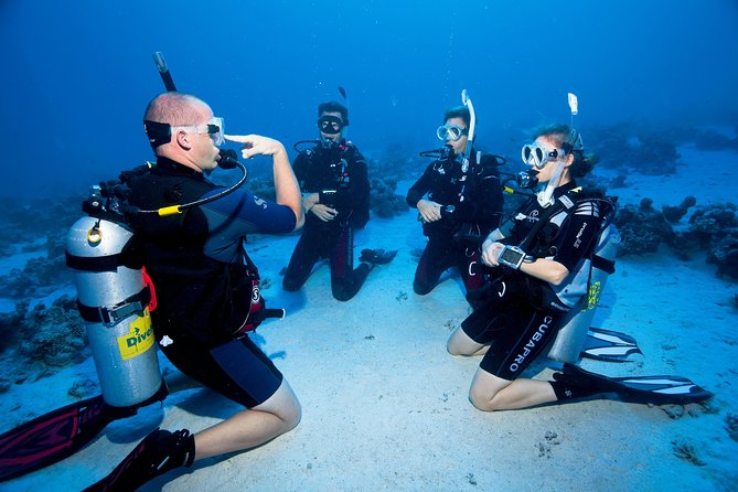 Try Scuba Dive (baptism of the sea) - What the first lesson covers