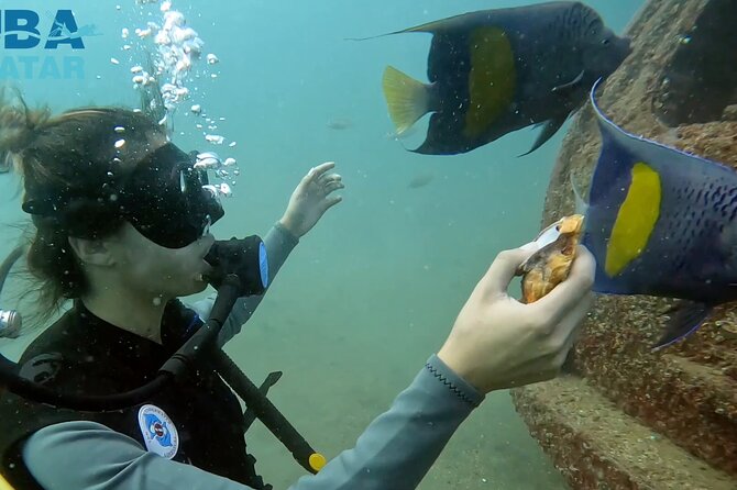 Try Scuba dive in Qatar - One instructor-led session, not a certification course