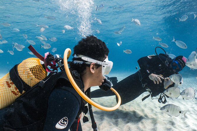 Try Scuba Diving | 1 dive - Getting comfortable with the scuba equipment