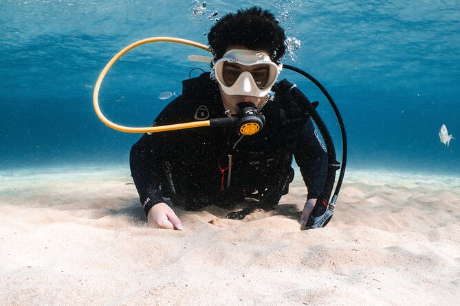 Try Scuba Diving | 1 dive - A balanced look at the teaching style