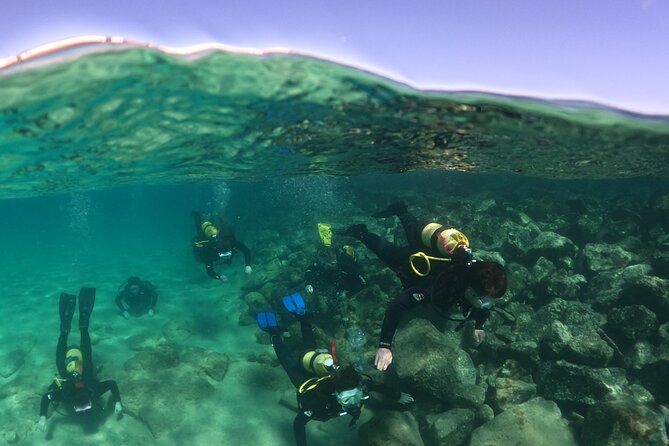 Try Scuba Diving | 1 dive - Who will get the most from this experience