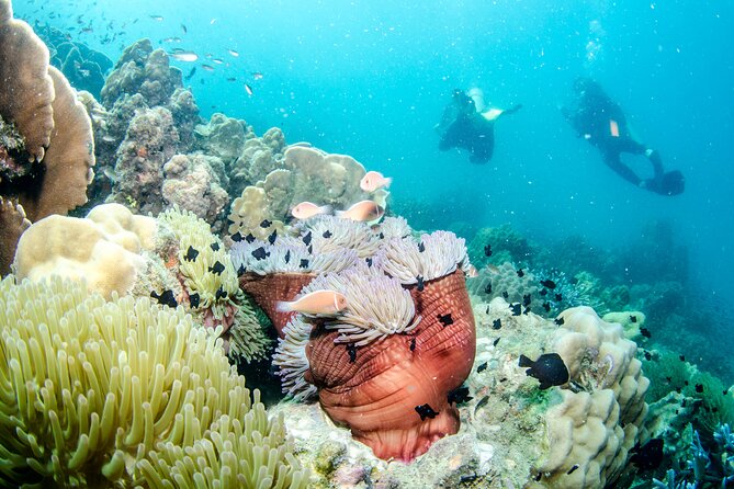 Try Scuba Diving 2 Dives Bang Bao - Why the maximum of four matters