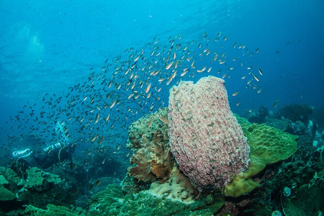 Try Scuba Diving 2 Dives Bang Bao - A boat day with lunch and simple comforts