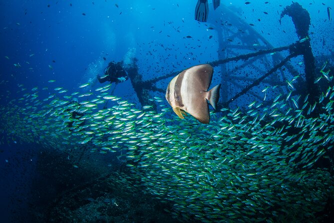 Try Scuba Diving 2 Dives Bang Bao - Is $169 fair value?