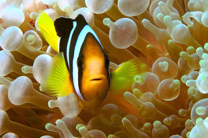 Try Scuba Diving - The boat ride toward Koh Nang Yuan