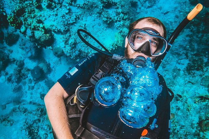 Try Scuba Diving - Is $121 good value?