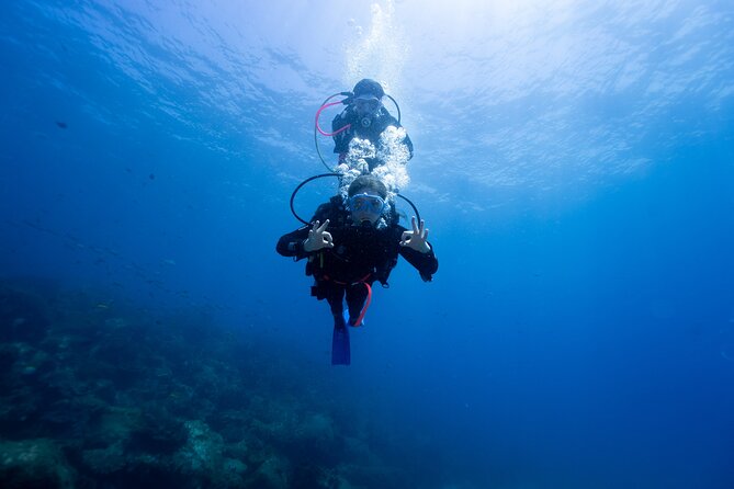 Try Scuba Diving at Cook Island – Guided Ocean Dive with Turtles - Key points to know before booking