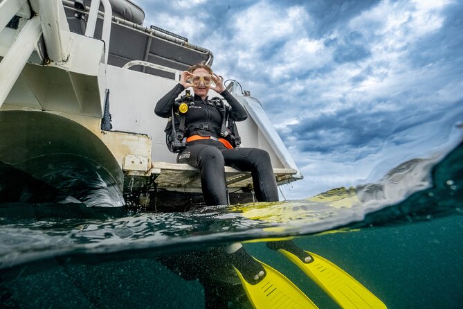 Try Scuba Diving at Cook Island – Guided Ocean Dive with Turtles - What you may see around the reserve