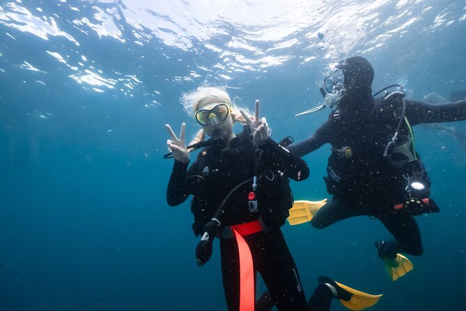 Try Scuba Diving at Cook Island – Guided Ocean Dive with Turtles - Is the $192.94 price fair?