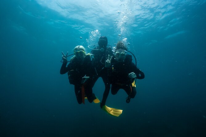 Try Scuba Diving at Cook Island – Guided Ocean Dive with Turtles - Practical limits that matter