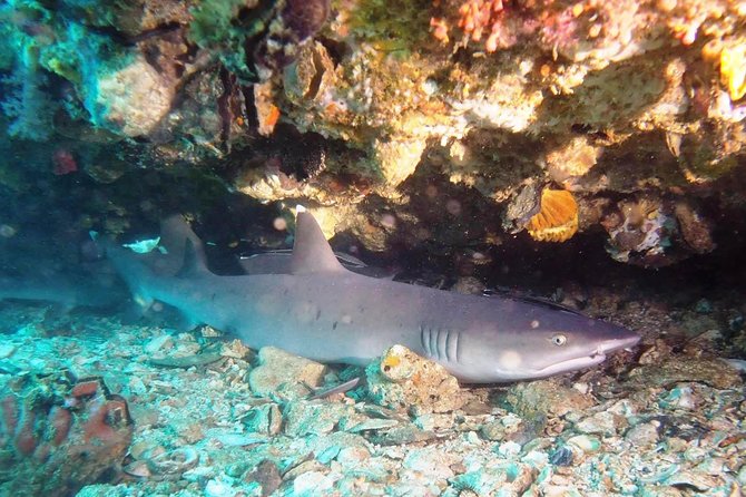 Try Scuba Diving at Padang Bai - What to bring and how to prepare