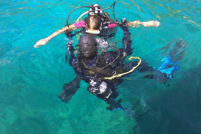 Try Scuba Diving! - Crikvenica/ Krk island - The onboard lesson and digital preparation
