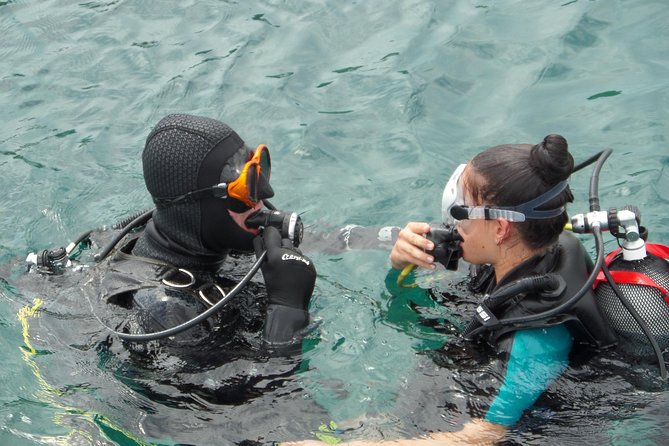 Try Scuba Diving! - Crikvenica/ Krk island - Meeting at Dive City in Crikvenica