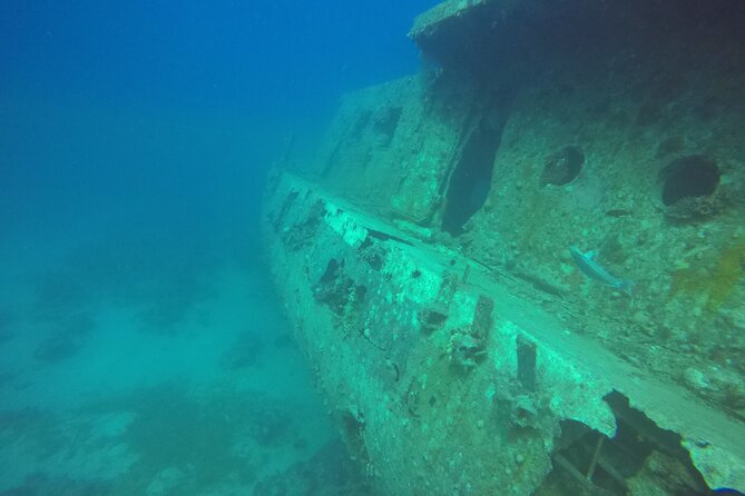 Try Scuba Diving Experience for Beginners in Hurghada - Getting started at Hurghada Marina