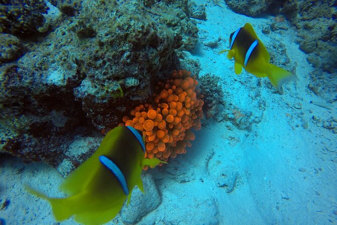 Try Scuba Diving Experience for Beginners in Hurghada - Lunch and a pause between sessions