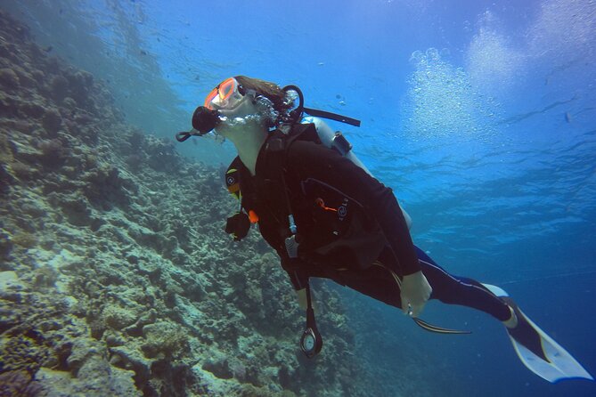 Try Scuba Diving Experience for Beginners in Hurghada - Timing, fitness, and practical limits