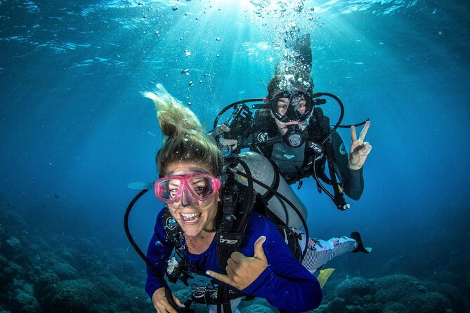 Try Scuba Diving Experience in Fujairah - Key points to know before booking