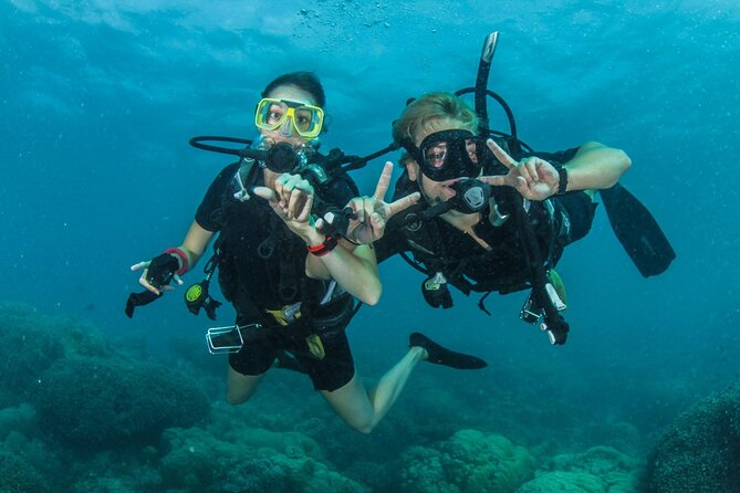 Try Scuba Diving Experience in Fujairah - Your first underwater lesson in Fujairah