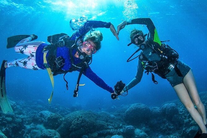 Try Scuba Diving Experience in Fujairah - What you may see beneath the surface