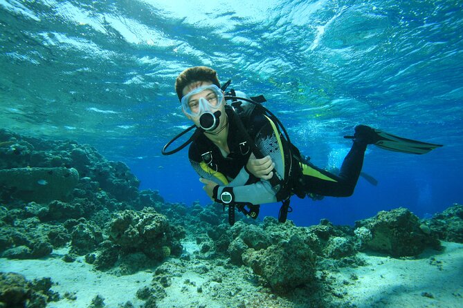 Try Scuba Diving Experience in Fujairah - Meeting at Reef Oasis Diving Center
