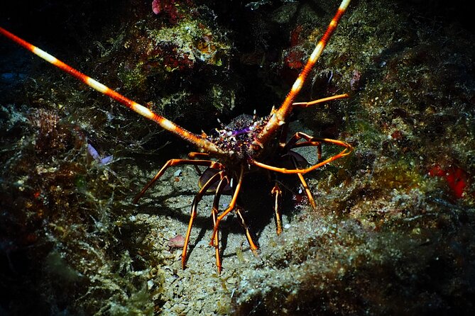 Try Scuba Diving for Beginners by Boat on Diaporos Island - Stop 2: Karydi and the pleasure of a beach stop