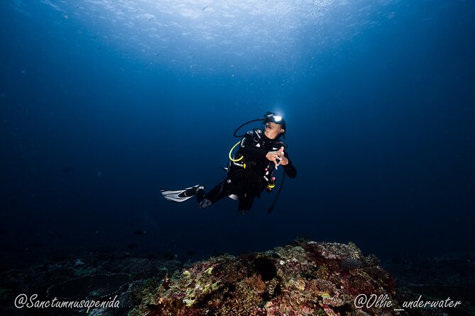 Try Scuba Diving for Beginners with manta rays (Non - Certified) - What the IDR 1,600,000 price includes