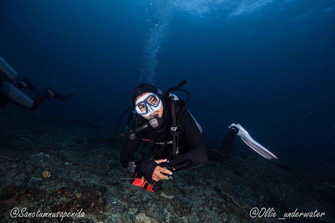 Try Scuba Diving for Beginners with manta rays (Non - Certified) - The 45-minute pool lesson