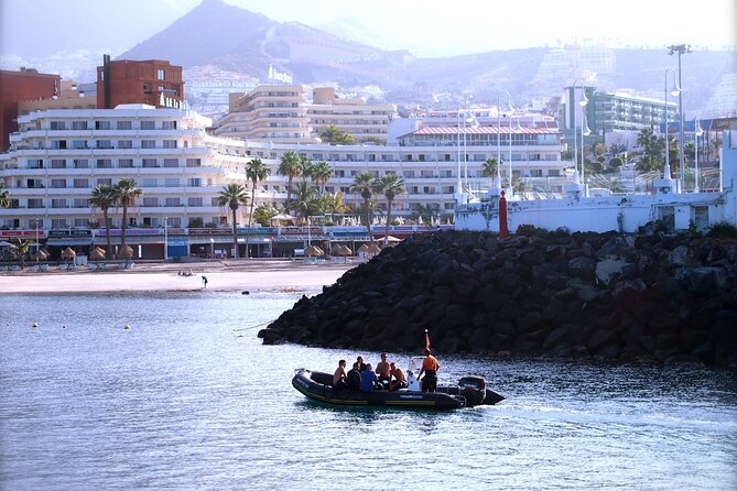 Try Scuba Diving in a turtle area (boat) - Who will enjoy this most?