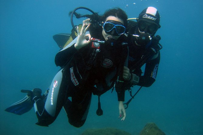 Try Scuba Diving in a turtle area (boat) - How the personal instruction changes the experience