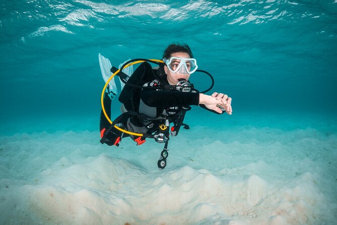 Try Scuba Diving in Amorgos - What happens during the 2.5-hour session