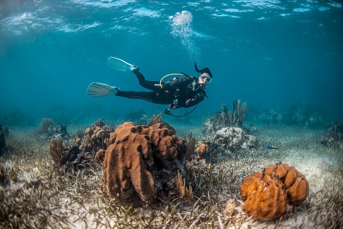 Try Scuba Diving in Amorgos - The instructors and the feeling of safety