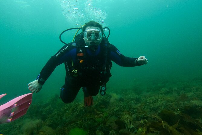 Try Scuba Diving in Galway, Ireland - Is $187.53 good value?