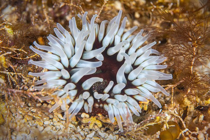 Try Scuba Diving in Galway, Ireland - Getting there and planning your morning