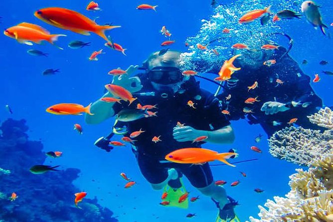 Try Scuba Diving In Havlock - The shore lesson and equipment fitting