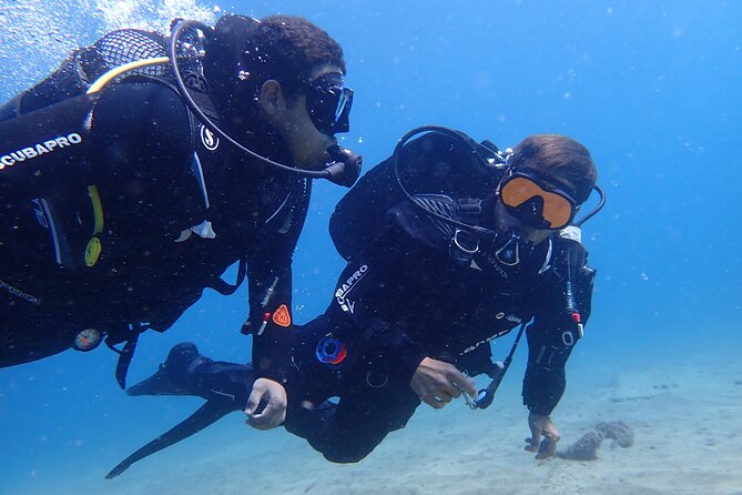 Try Scuba Diving in Lanzarote (No experience needed) - Key points to know before booking
