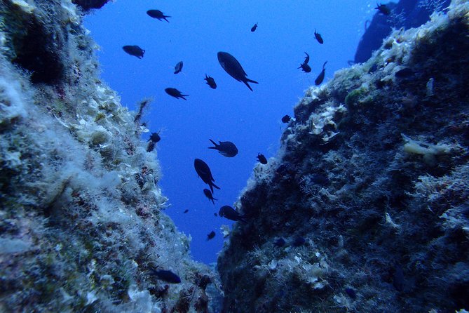Try Scuba Diving in Lanzarote (No experience needed) - The shallow-water practice makes the difference