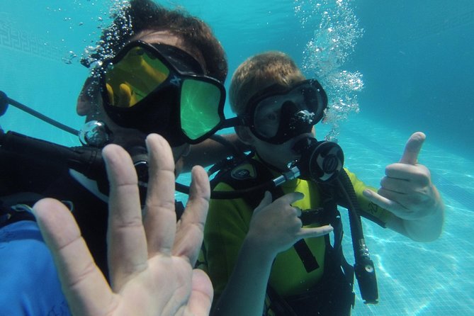 Try Scuba Diving in Lanzarote (No experience needed) - What you may see around the reef