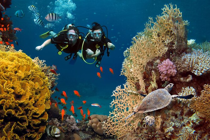 Try Scuba Diving in Racha Yai and Noi for Non-Certified - Key points to know before booking