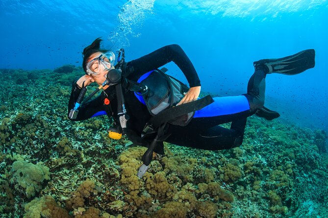 Try Scuba Diving in Racha Yai and Noi for Non-Certified - Practical details that can save you trouble