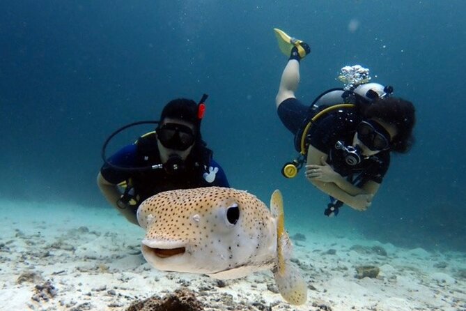 Try Scuba Diving in Racha Yai and Noi for Non-Certified - Learning the basics before entering the water