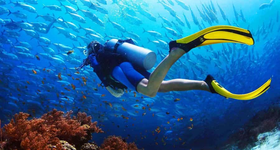 Try Scuba Diving in Racha Yai/noi: 2 Dives for Non-Certified - Racha Yai and Noi make a good first underwater outing